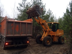 Гигантскую свалку объемом 1300 кубометров ликвидируют в Дзержинске