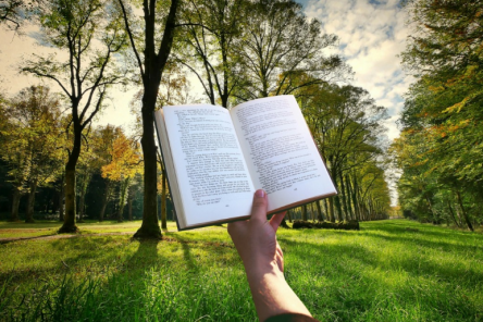 Топ-5 самых частых ошибок русского языка