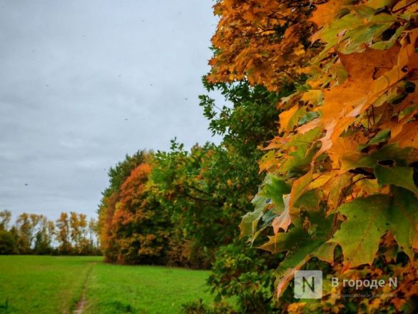 Та самая пушкинская осень: уютный фоторепортаж из Большого Болдина - фото 42