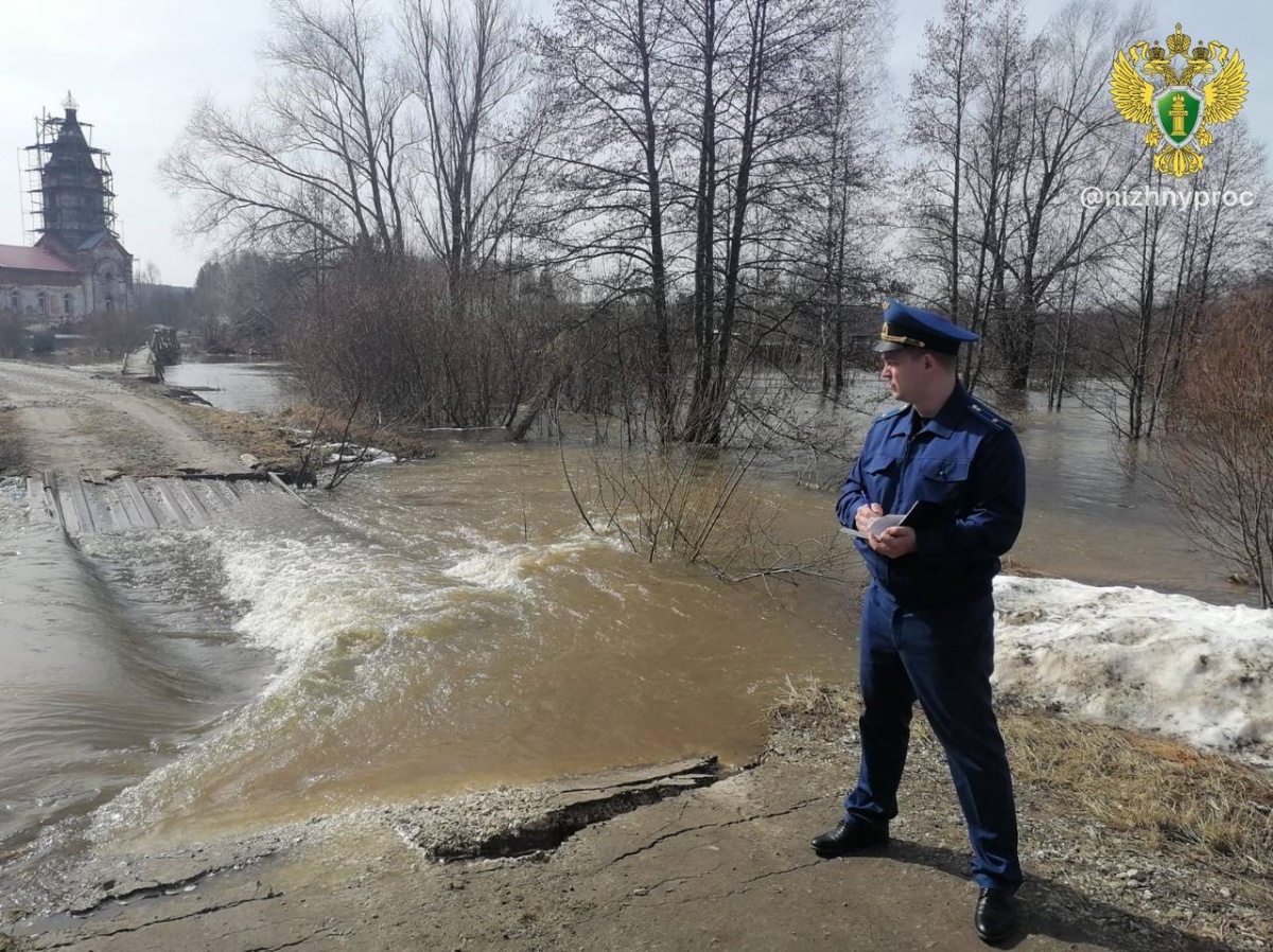 Жители Нижегородской области страдают от последствий паводка - фото 2