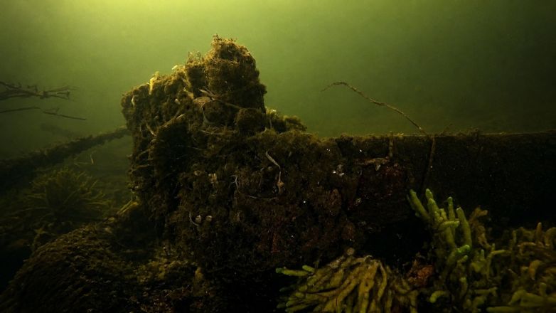Древние лодки-долбленки нашли на дне реки в Нижегородской области: фото - фото 3