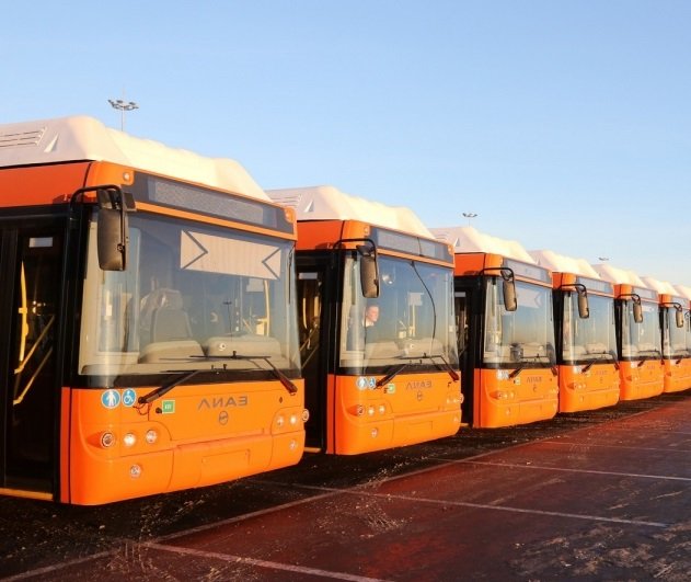 Для удобства болельщиков время работы общественного транспорта в Нижнем Новгороде будет продлено - фото 1