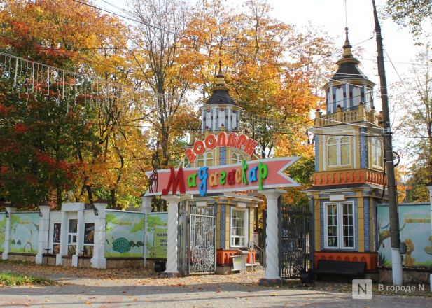 Фоторепортаж: как выглядит Сормовский парк, который ждет масштабная реконструкция - фото 37
