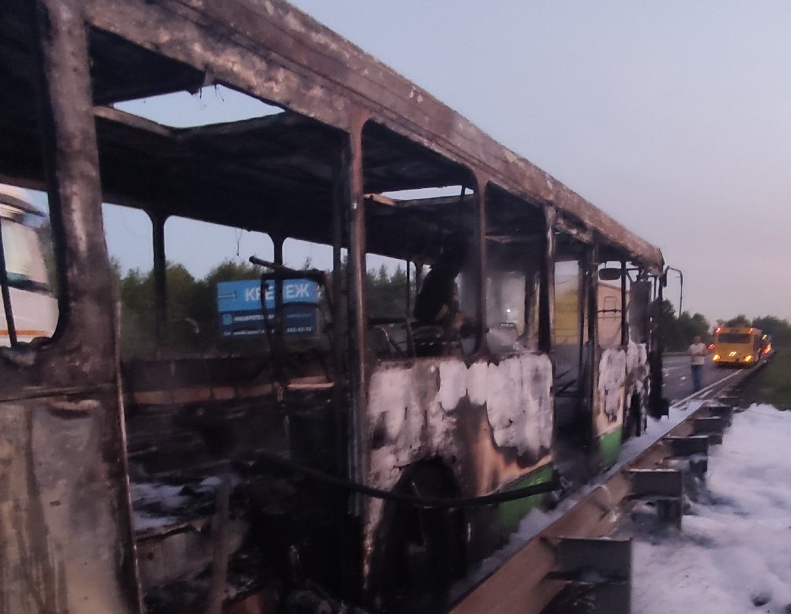 Рейсовый автобус сгорел в Кстовском районе - фото 1