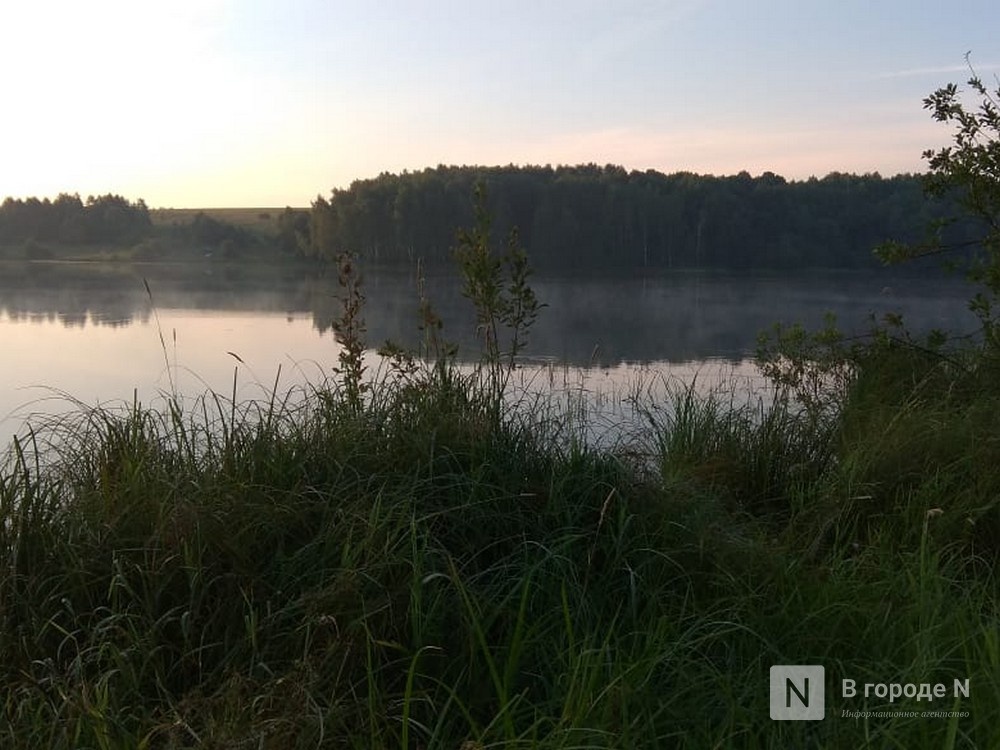 Опубликован прогноз погоды в Нижнем Новгороде на неделю 11 &mdash; 17 мая - фото 1