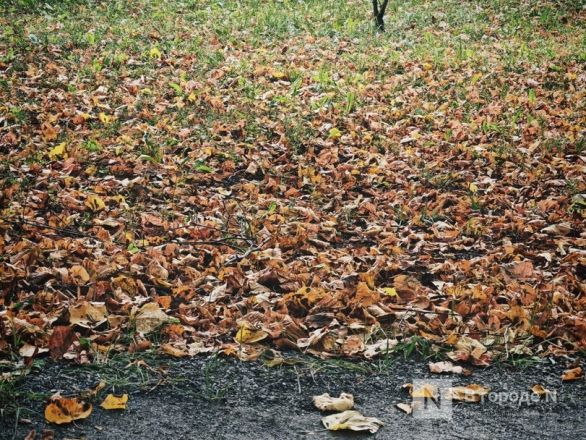 Та самая пушкинская осень: уютный фоторепортаж из Большого Болдина - фото 20