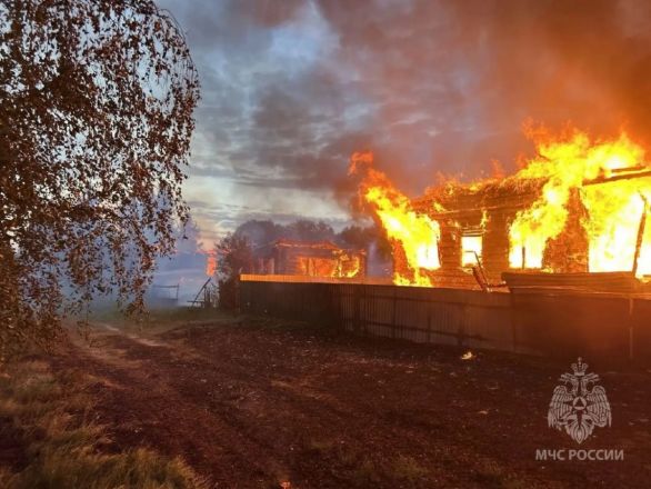 Смертельный пожар произошел в Нижегородской области: фото - фото 3