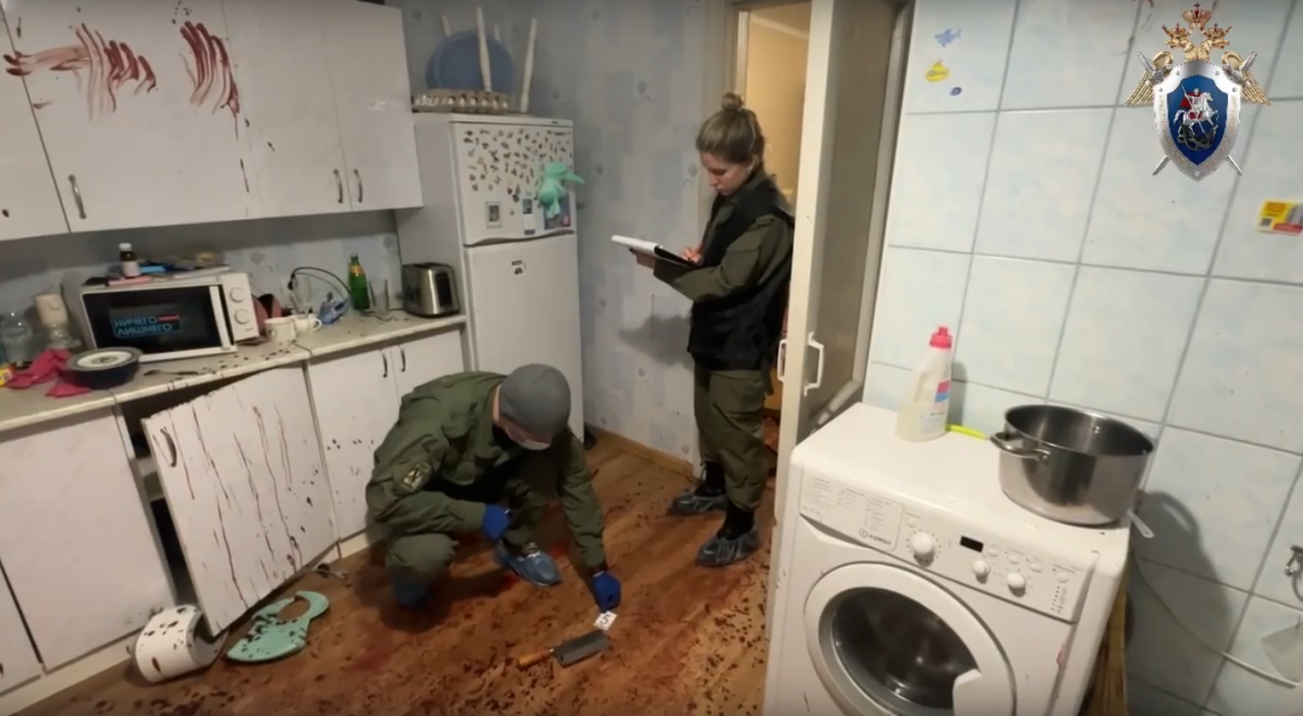 Жестоко убившего жену и дочь нижегородца отправили на принудительное лечение - фото 1
