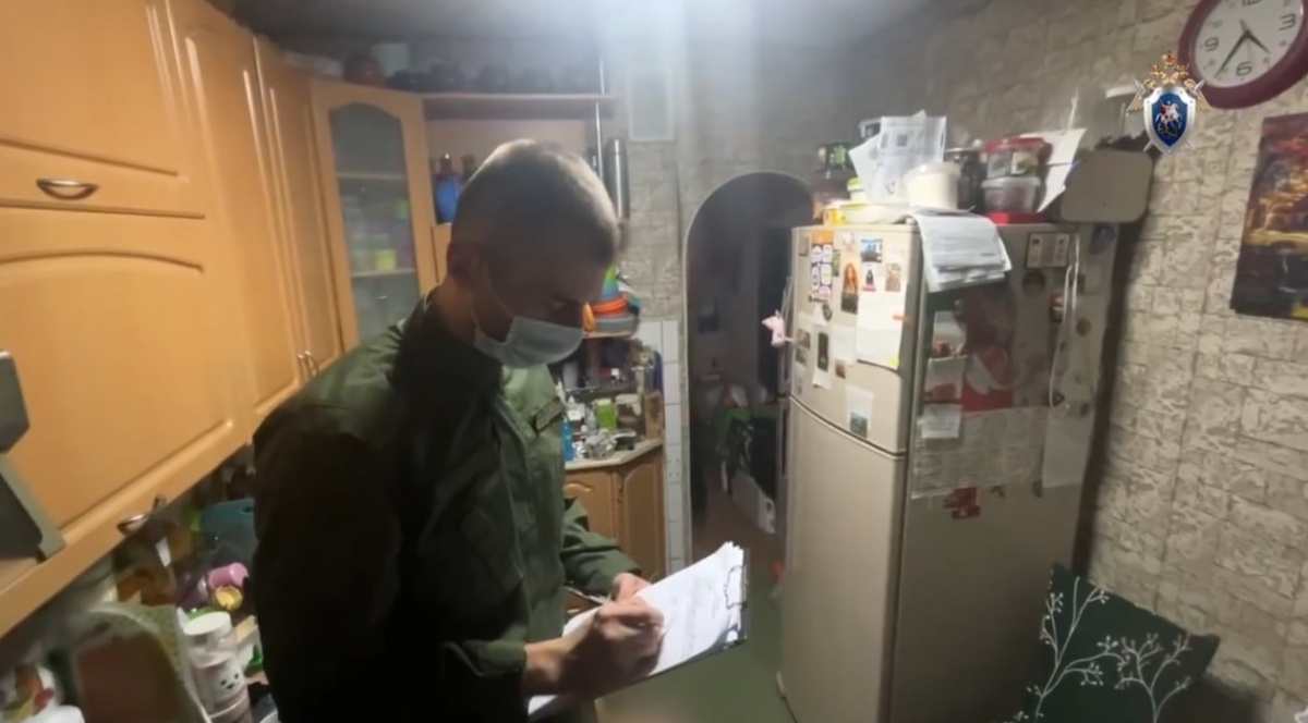 Мужчину задержали за убийство матери ножом в Нижнем Новгороде - фото 1