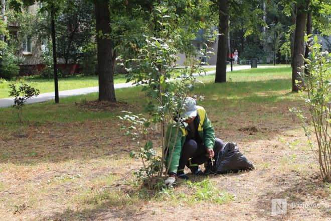 Теннисные столы и велодорожка появились на улице Веденяпина в Нижнем Новгороде - фото 28