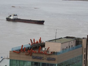 Предотвратить гибель синиц: нижегородские экологи предложили заменить отпугиватели на силуэты хищников