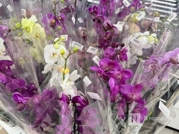 Мужчины, готовьтесь. Рассказываем, сколько стоят цветы к 8 марта в Нижнем Новгороде - фото 94