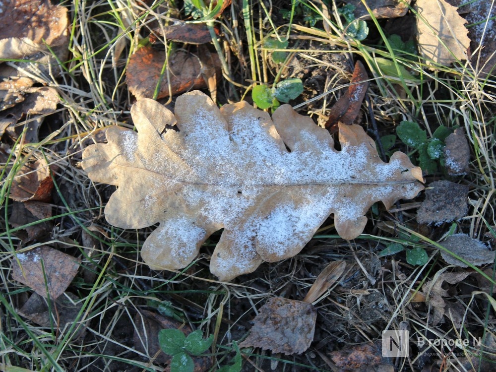 Снег с дождем накроют Нижний Новгород в последние выходные октября - фото 1