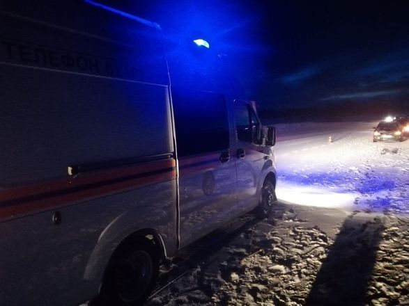 Двое взрослых и ребенок погибли в ДТП с грузовиком в Ардатовском районе - фото 4