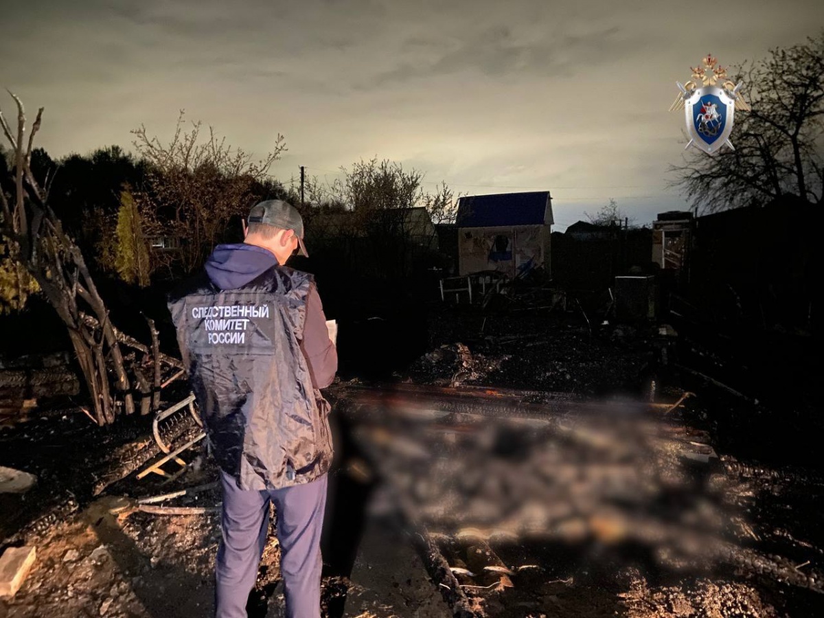 Тело мужчины обнаружили на месте пожара в СНТ на Бору - фото 1