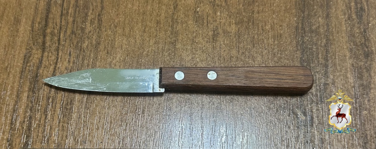 Пьяный нижегородец напал с ножом на свою сожительницу - фото 1