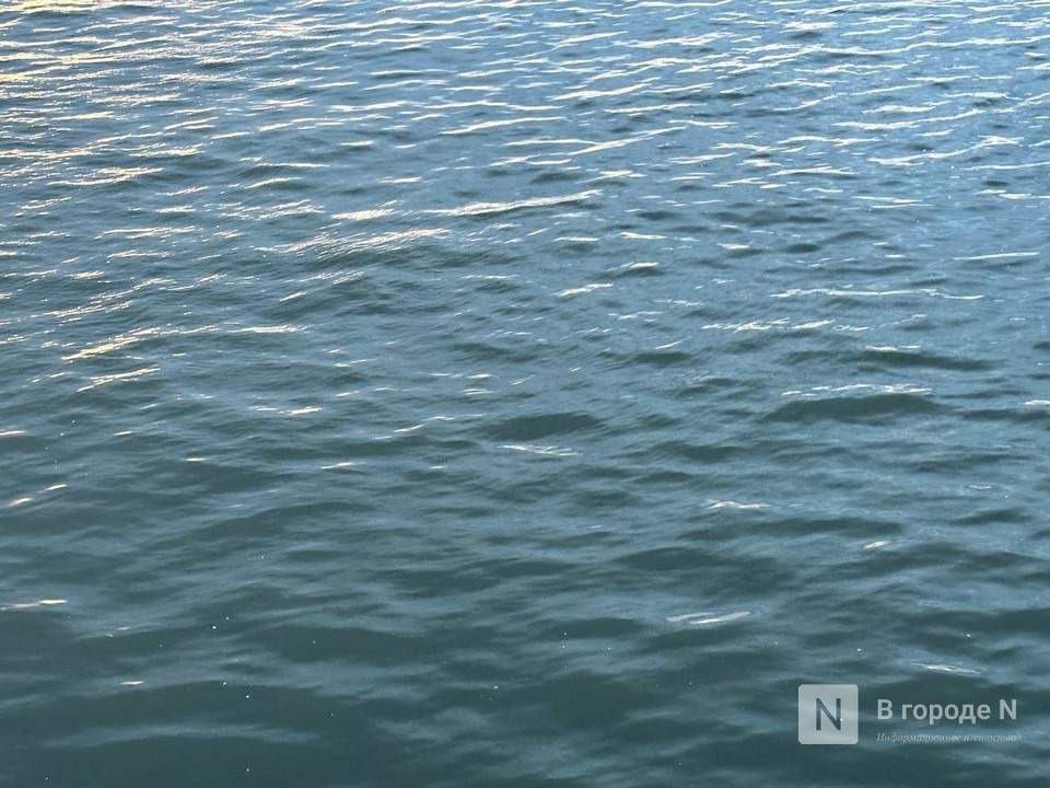 Искали неделю: тела двух мужчин выловили из рек в Нижегородской области - фото 1