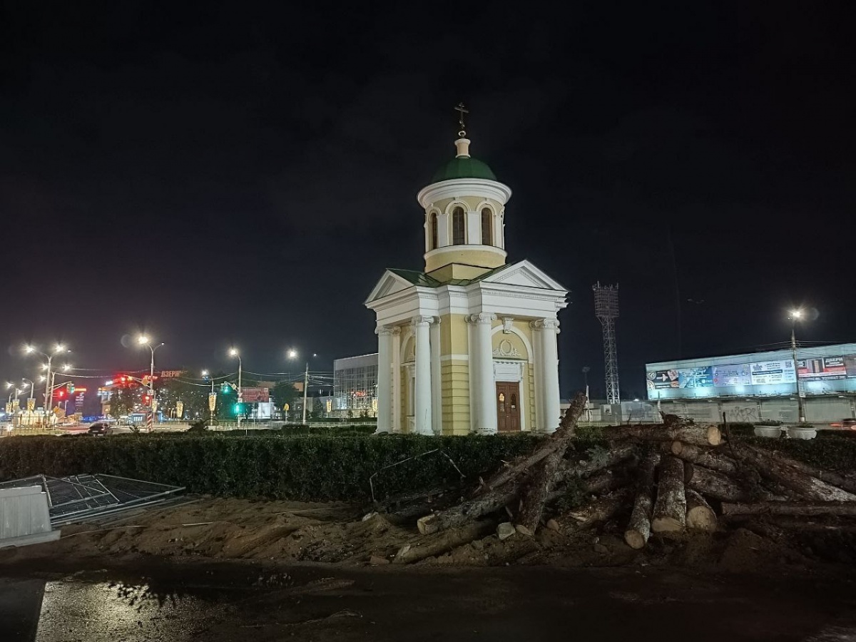 22 ели высадят на Свадебной площади в Дзержинске взамен вырубленных - фото 1
