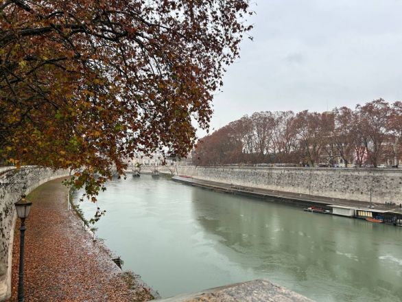 Морские гады, руины и потрясающий климат: вся правда о путешествии Барселона &mdash; Рим - фото 95