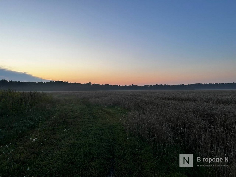 Химикаты обнаружили в почве в Нижегородской области - фото 1