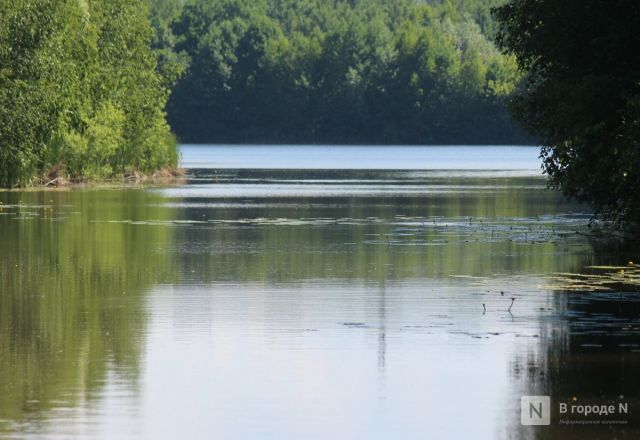 Фото площадки под КРТ на Бурнаковке показали нижегородцам - фото 12