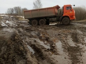 Поля в Сосновском районе превратились в свалку куриного помета
