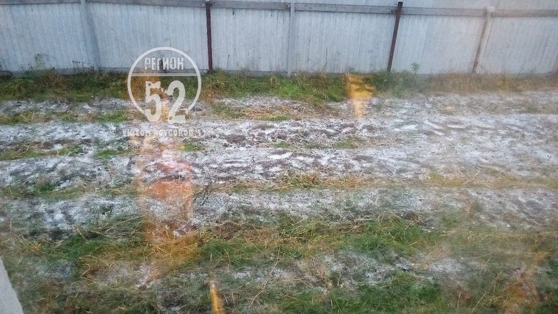 Первый снег выпал в Нижегородской области - фото 3