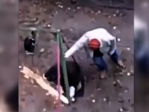 Недовольные шумом соседи разгромили детскую площадку во дворе