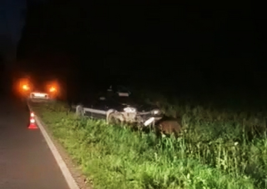 Водитель легковушки пострадал в ДТП с лосем в Нижегородской области